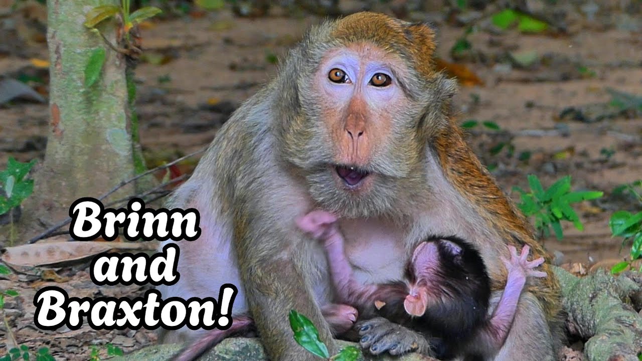 Wrapped in Love – Braxton’s Peaceful Day with Mama, 