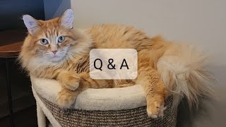 Q&A with Walter