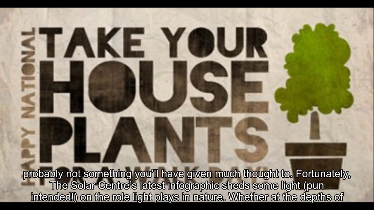 How The Sun Controls Nature Infographic