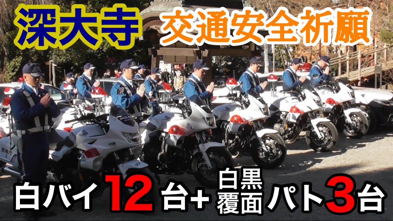 【圧巻】8交機新年交通安全祈願 in 深大寺、白バイ12台+パトカー3台が集結!