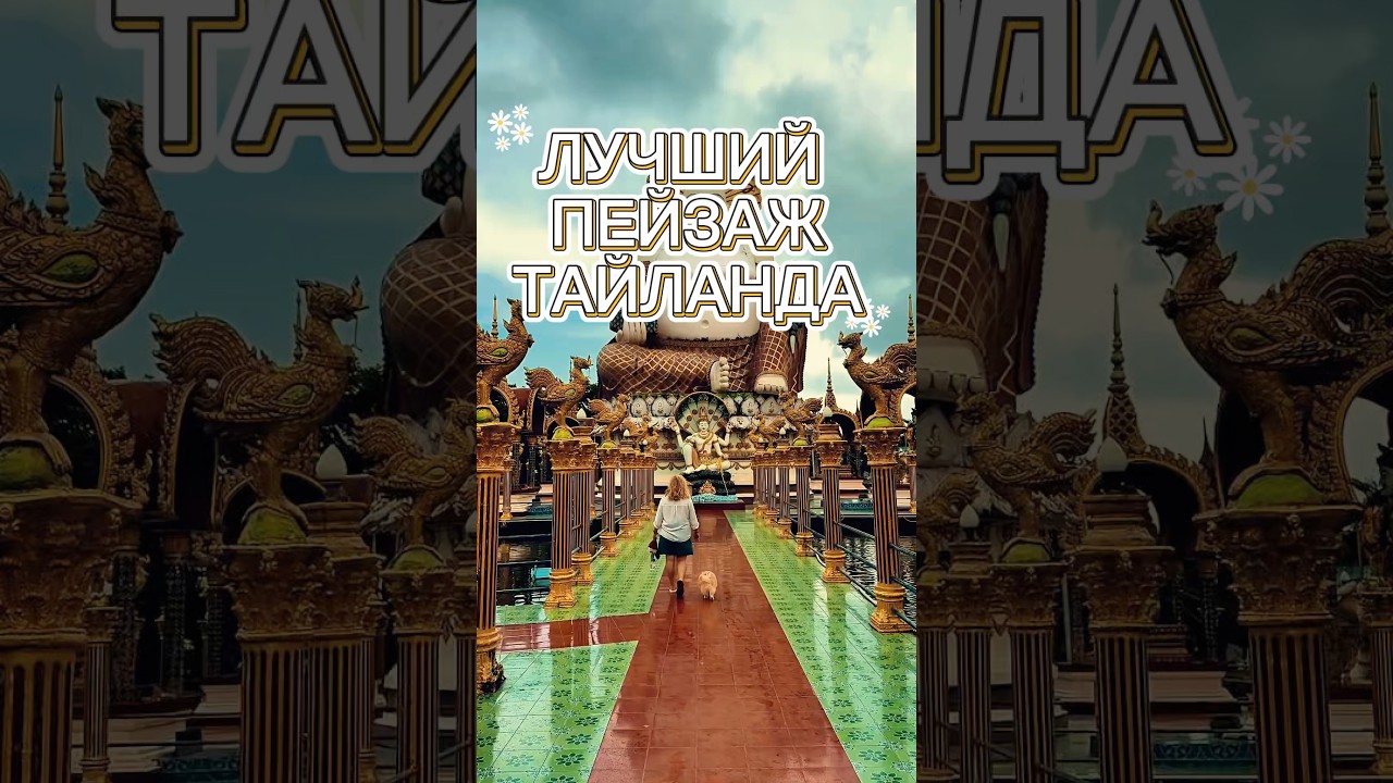 Подробная статья о гостиницах для животных на Самуи в нашем Telegram (ссылка в шапке профиля).