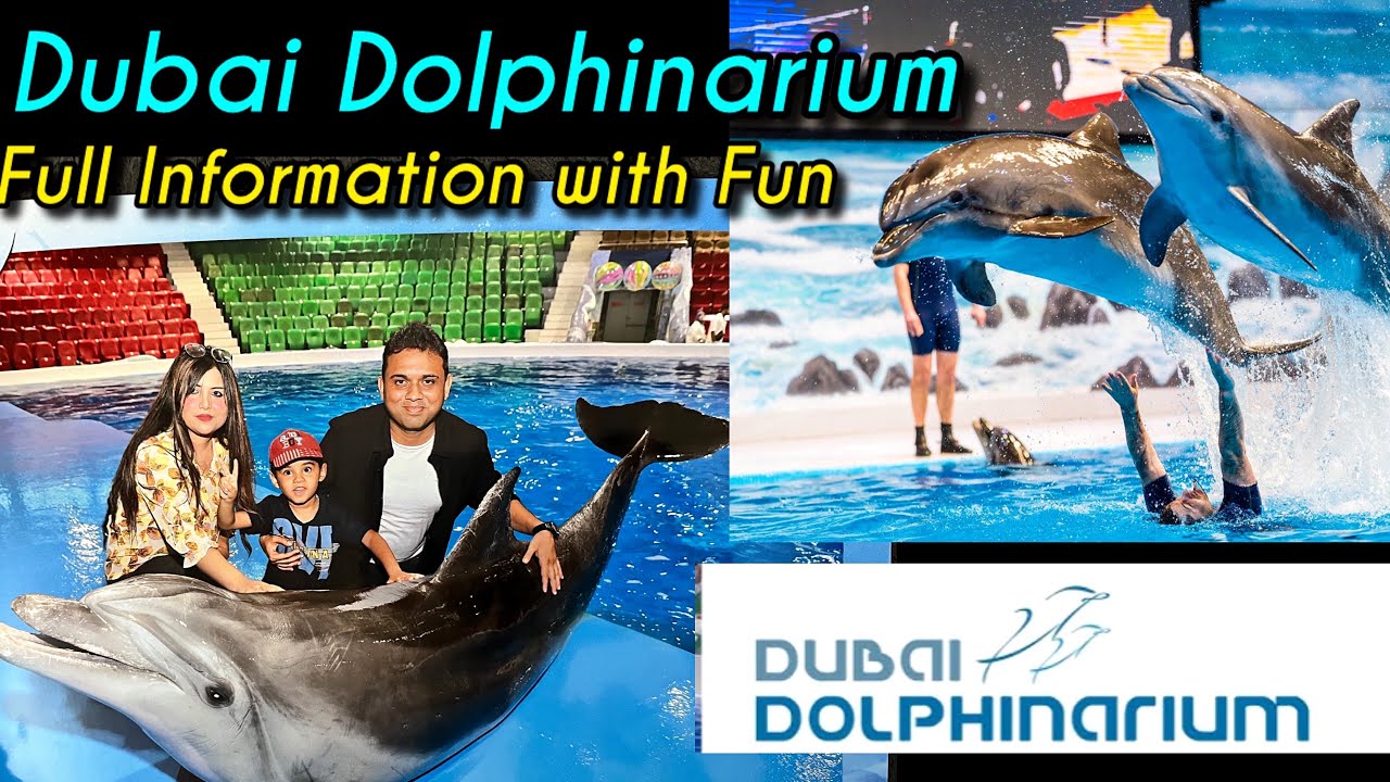 Dubai Dolphinarium| UAE | Creek Park | complete information