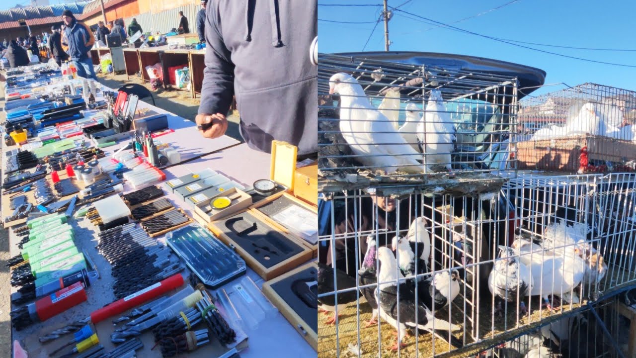 Vizitam Târgul săptămânal de la Pitești 19-ianuarie 2025🚗🐓🐰➡️🐕🎥