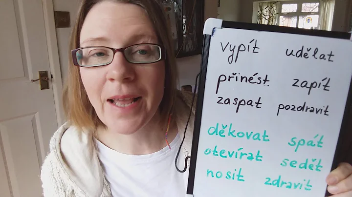 Perfective and imperfective verbs