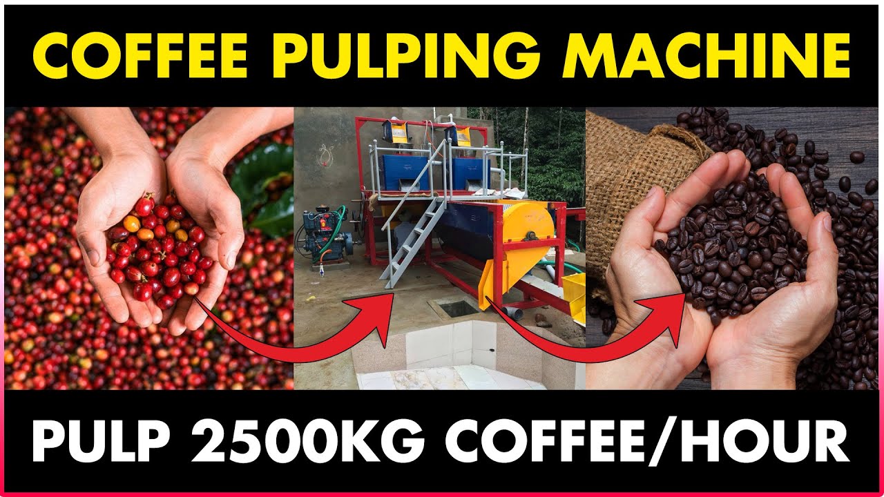 Coffee pulping Machine / Coffee Pulper Machine Coffee Processing