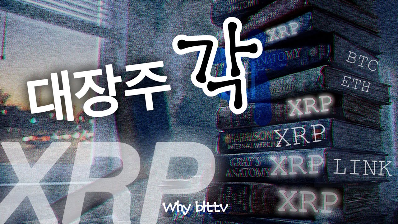 모나카 롱 2026 XRP 봇물 터질 듯 🚀🚀▶️▶️똑똑한 소비자는 XRP를 얻는다.