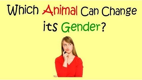 Most Brilliant IAS Interview Questions with Answers | Which Animal Can Change its Gender