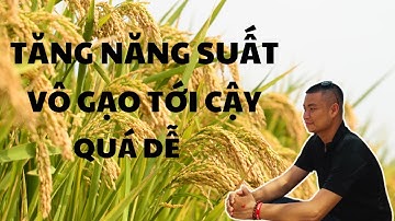 4 bí quyết chọn sản phẩm vô gạo chắc tới cậy tăng năng suất từ chuyên gia nông nghiệp
