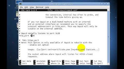 Konfigurasi Proxy Server di Debian 6 melalui VirtualBox