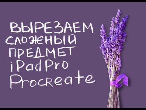 Как вырезать сложный предмет с фотографии на iPadPro в программе Procreate