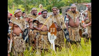 Mr & Mrs Nkwanyana | Zulu Traditional Wedding (uDwendwe)
