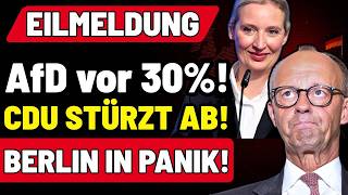 EIL: AfD kurz vor 30 %! Die CDU stürzt in den Umfragen ab – Berlin gerät in Panik!