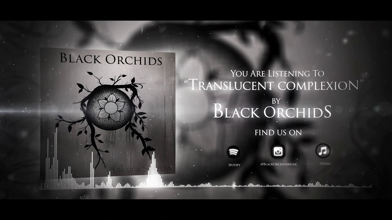 Black Orchids - Translucent Complexion