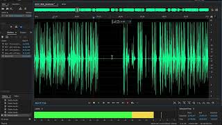 CHAPMAN'S ILIAD - Audiobook Editing Session 19 - BOOK 4 (Part 3)