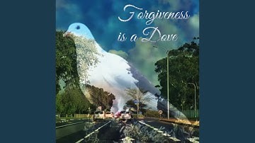 Forgiveness Is A Dove