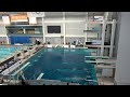 2019 USA Diving Junior National Championships August 6th