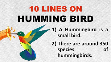 10 Lines on Hummingbird in English | Few Sentences about Hummingbird | Humming Bird