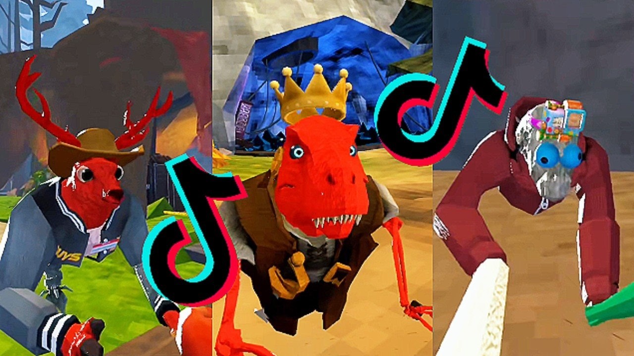 Funny Moments of Animal Company | Funniest TikTok Compilation