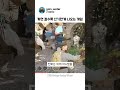 히든 스킬의 진짜 활용법