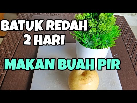 Ramuan Buah Pir Untuk Batuk Pilek