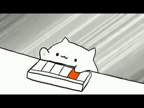 Kedi piyano çalıyor