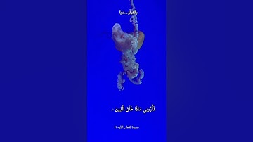 #آيات #أحاديث #أدعيه#أذكار #سوره #عبد #الباسط #عبد_الباسط_عبدالصمد #خلق_الله