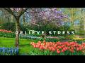 Spring Garden Piano Music 🌸 1 Hour Relaxing Music for Sleep, Study & Stress Relief