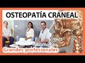 🛑 QUÉ ES LA OSTEOPATÍA CRANEAL? 👉 Cuales son sus APLICACIONES? No te lo pierdas! 😲