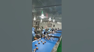 Cake full automatic sorting and feeding packing Machine solutions flow wrapper wrapping machinery