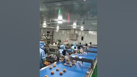 Cake full automatic sorting and feeding packing Machine solutions flow wrapper wrapping machinery