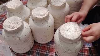 Hakkarinin Meşhur Toprak Altı Otlu Peyniri Nasıl Yapılır Ve Muhafaza Edilir