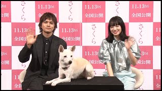 映画『さくら』犬の日特別インタビュー映像