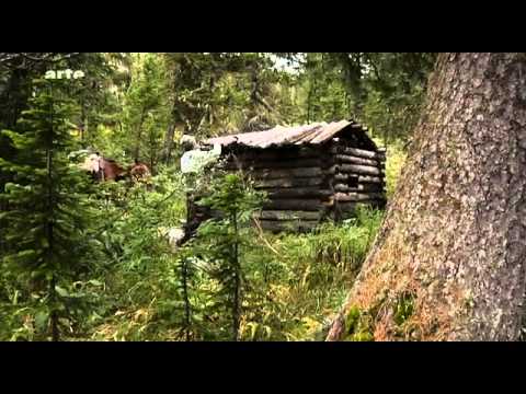 Video: Wie Man In Der Taiga überlebt