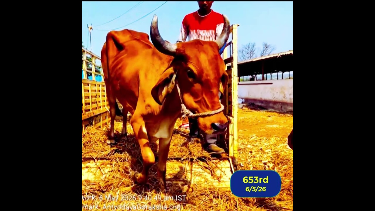 653 Lives Saved Since 3/8/2023