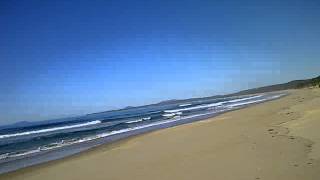 20120624 milou on beach on the nth coast of nsw