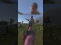 average dayz fever dream: #gaming #gameplay #funny #dayz #dayzgamers #glitch #desync
