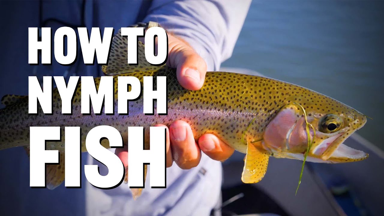 How to Nymph for Trout 