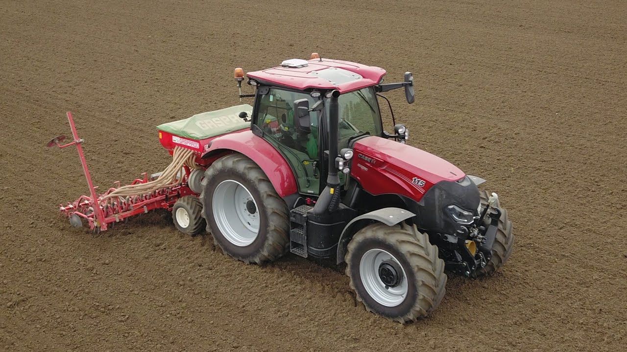 Semina Triticale Case Maxxum 115 + Gaspardo Pinta