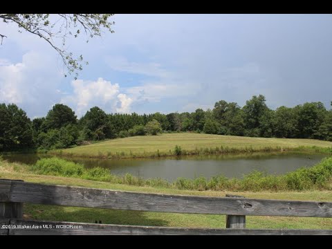 1717 CO RD 16, Arley, AL home video tour