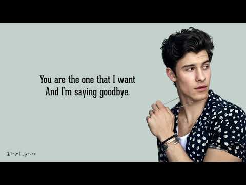 Shawn Mendes   Say Something Lyrics 🎵