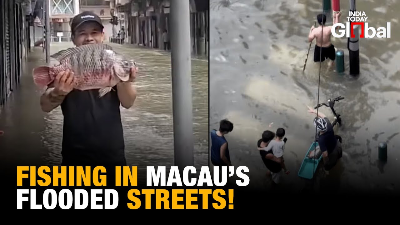 Macau Locals Go Fishing in Flooded Streets After Super Typhoon Ragasa Submerges the City