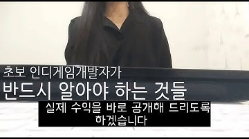 1인 인디게임개발자의 매우 현실적인 