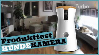 Hund allein zu Hause I Die FURBO Hundekamera im Produkttest I Überwachungskamera für Hunde