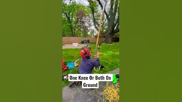 How To Use A Notch Big Shot Throwline Launcher #shorts #arborist #bigshot #treeclimbing #srt #drt