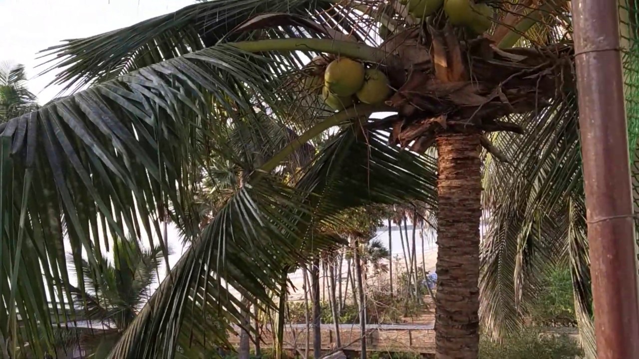 За счет чего и кого живет смертное человечество и на что люди меняют ...