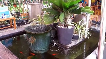 Anna Coffee   Mô hình khởi nghiệp quán Cafe của công ty Cà Phê Anna