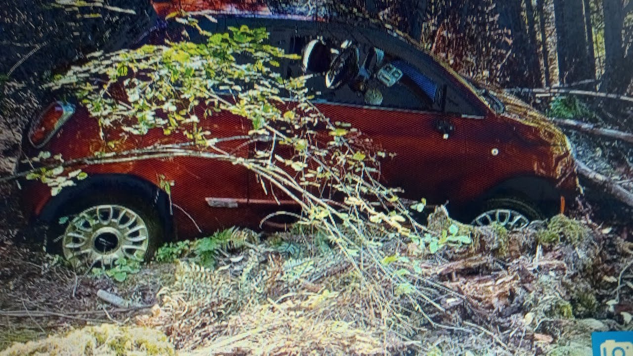 The DISTURBING case of Actor CHARLES LEVIN