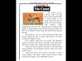 Facts and figures third edition 2005 unit 1 animals lesson 2 the camel