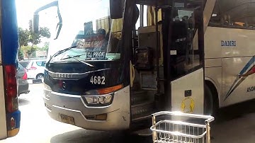 Halte Dan Bus Damri Bandara Terminal 1