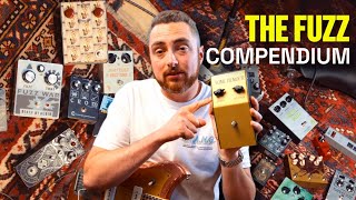 Watch This Before You Buy a Fuzz Pedal (The Fuzz Compendium) by Rhett Shull 66,525 views 1 month ago 42 minutes